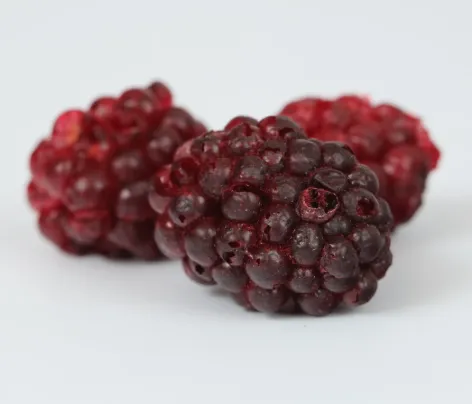 Freeze Dried Blackberry Whole